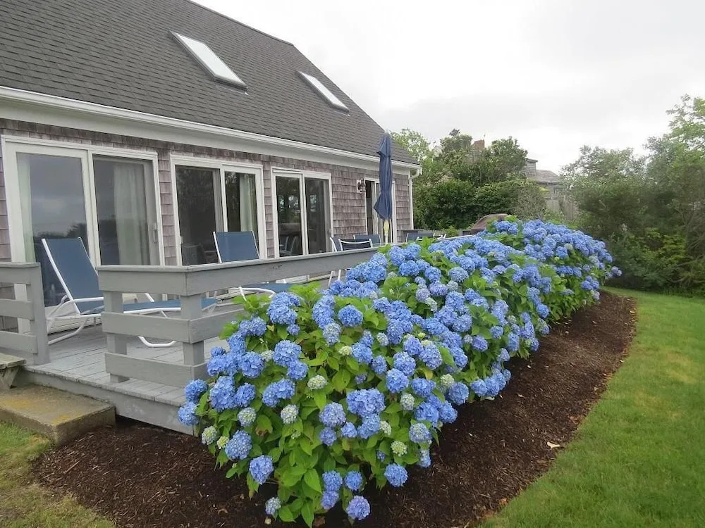 19 Lobster Lane - Four Bedroom House