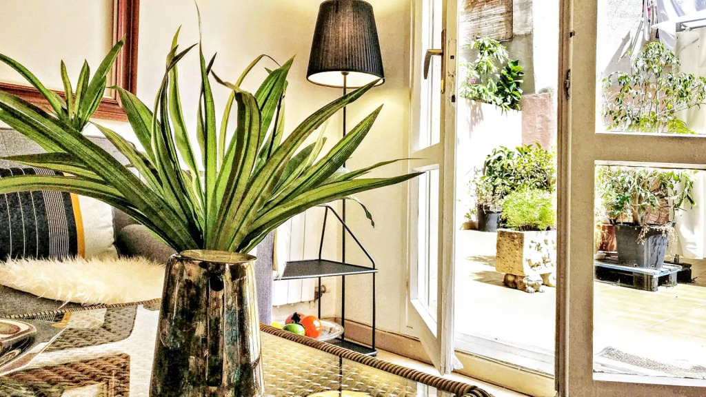 Amazing Terrace & 3BR near El Born - Garden House