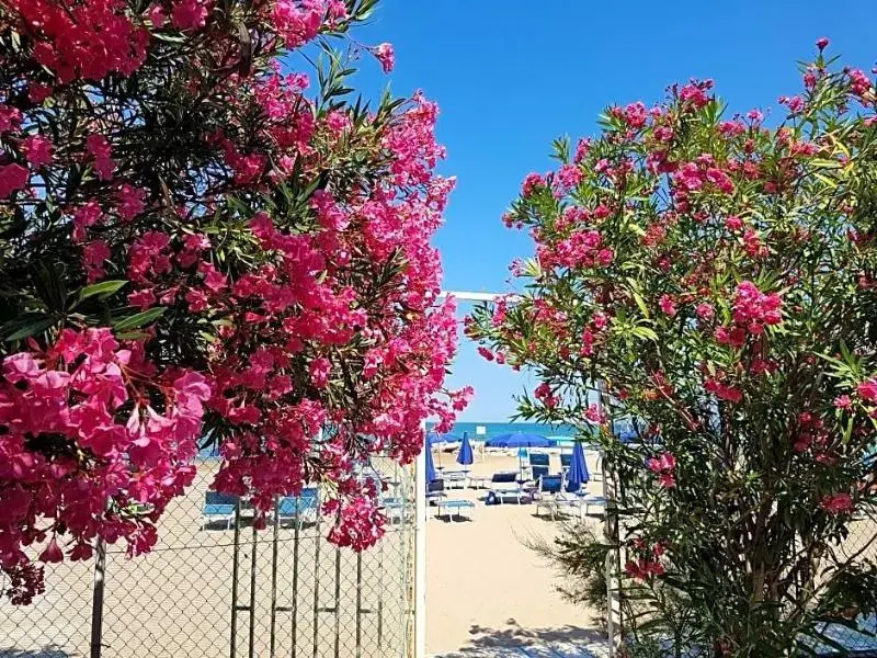 Camping Village Capo Vieste