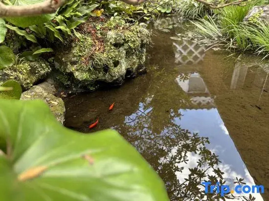 Newly open :Japanese guesthouse Okuzasiki Onsen Stay