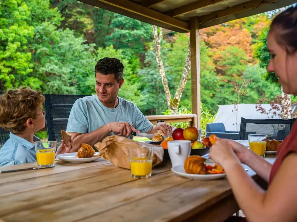 Modern Chalet With Dishwasher, in a Holiday Park, in a Natural Environment