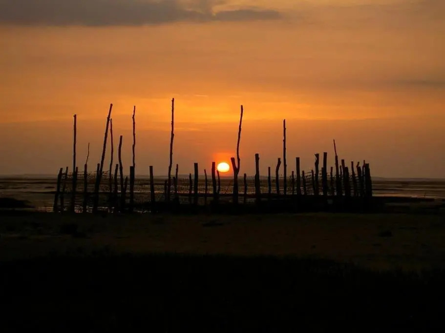 Appartement tout confort sur le Bassin d' Arcachon