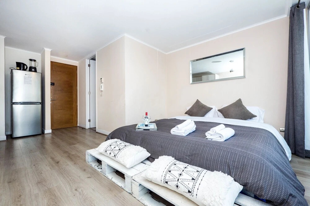 Delightful Downtown Apartment