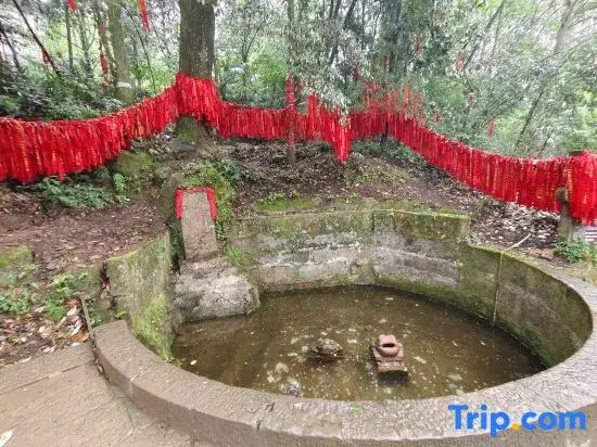 jianjusu（qingchenshaxinshanmendian）