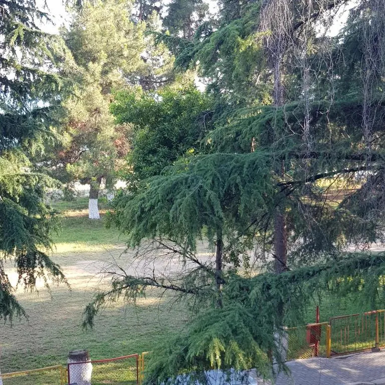 Ldzaa 1komn. kv. na beregu morja
