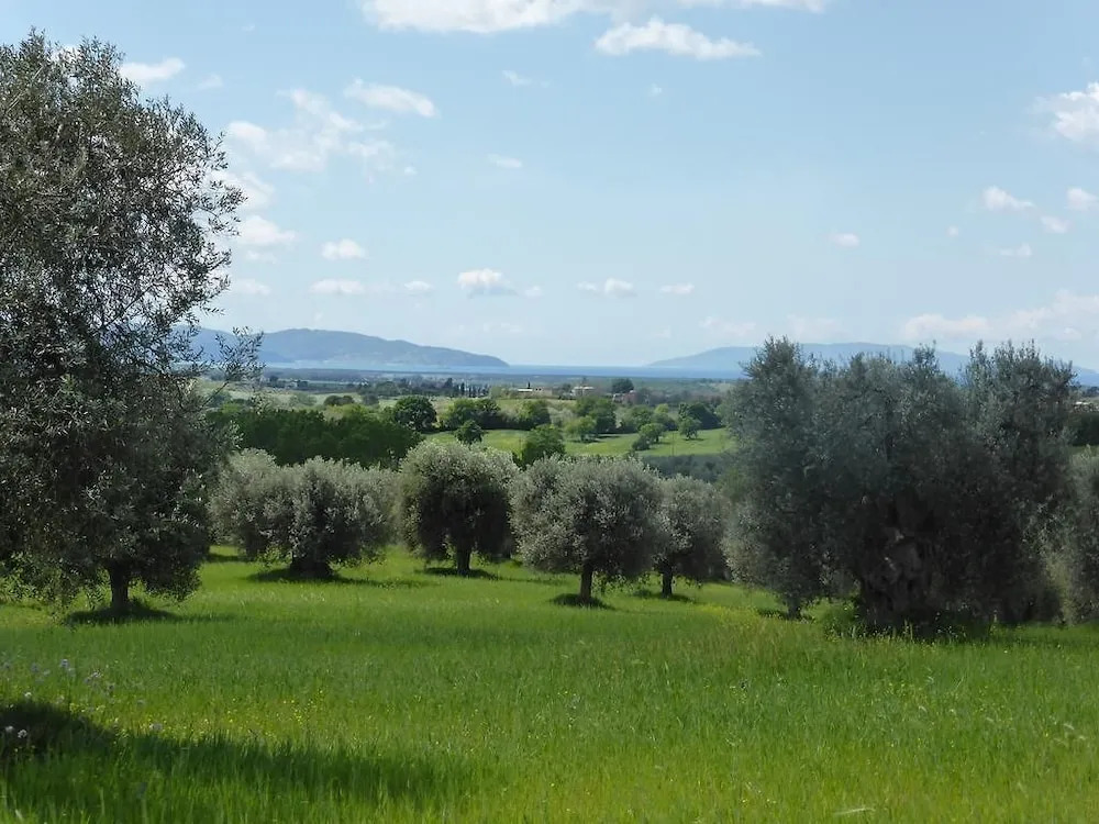 Tenuta Campospillo