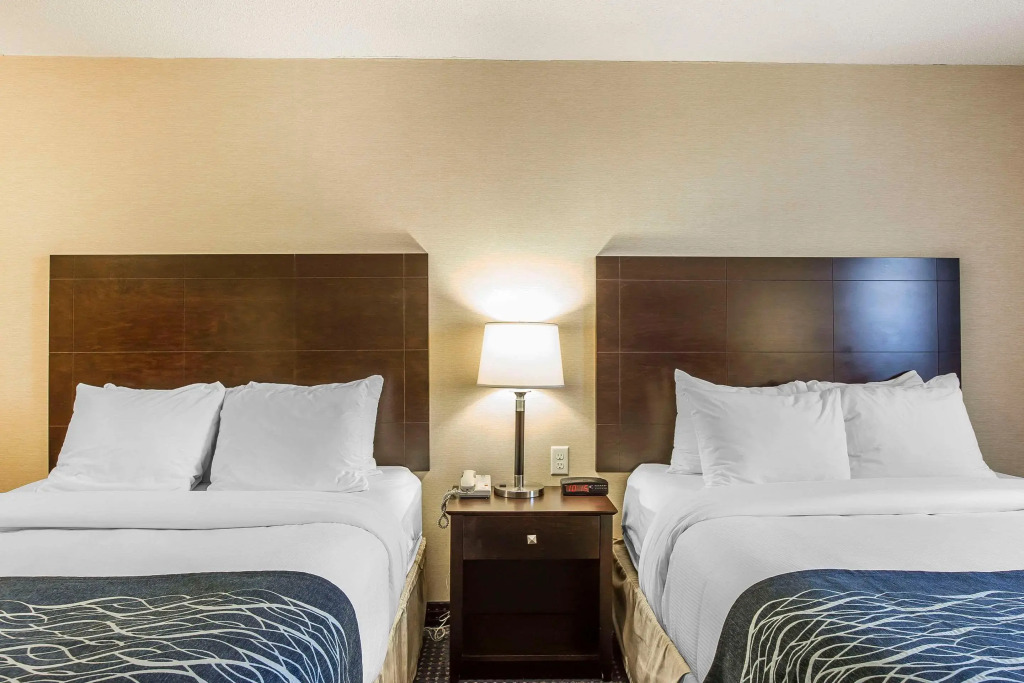 Comfort Inn - Gander