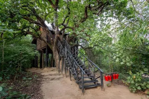Tree House Hideway Bandhavgarh