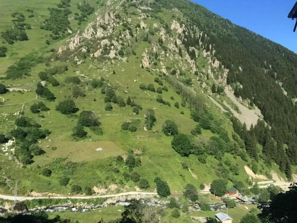 Zirve Pension