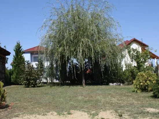 Apartman Mercédesz I