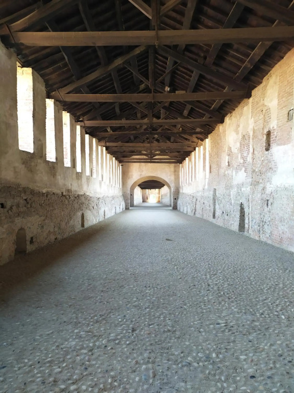 appartamento ulivo