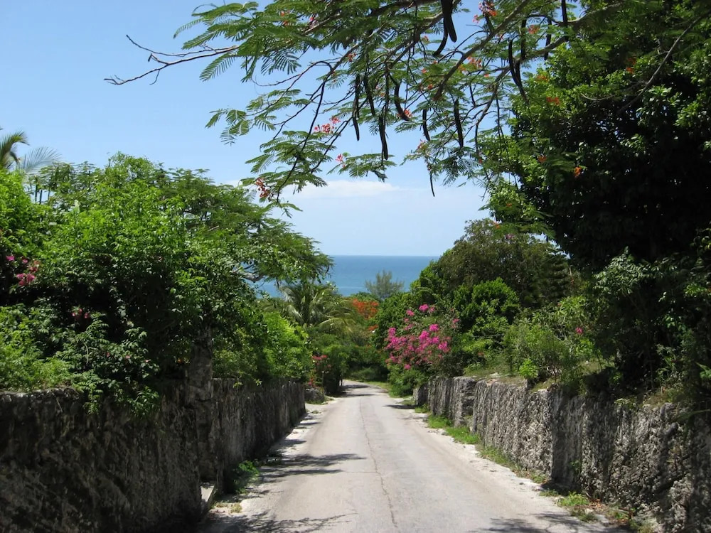 Beside the Pointe