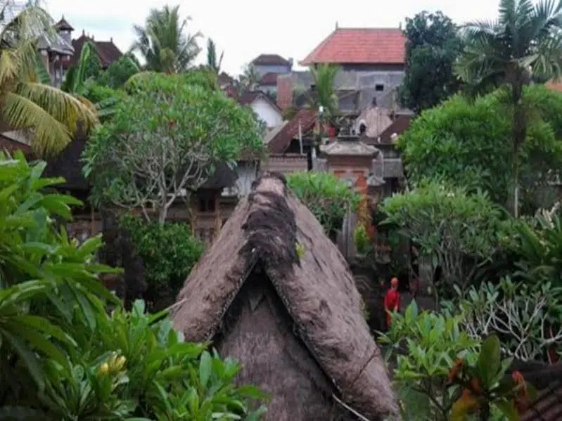 Den Den Mushi Guesthouse