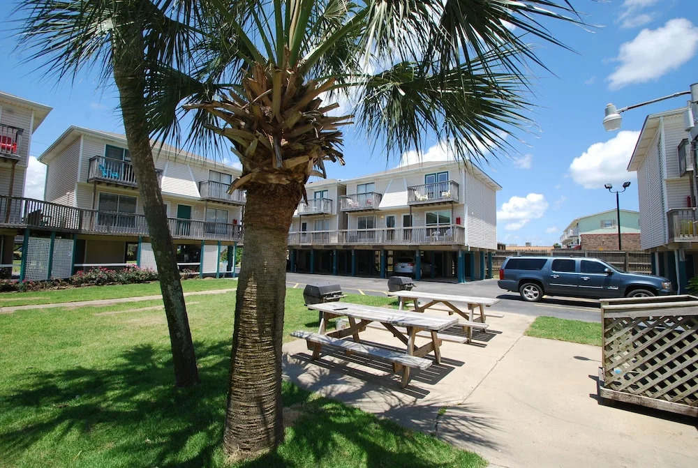 Sand Dollar 14 by RedAwning