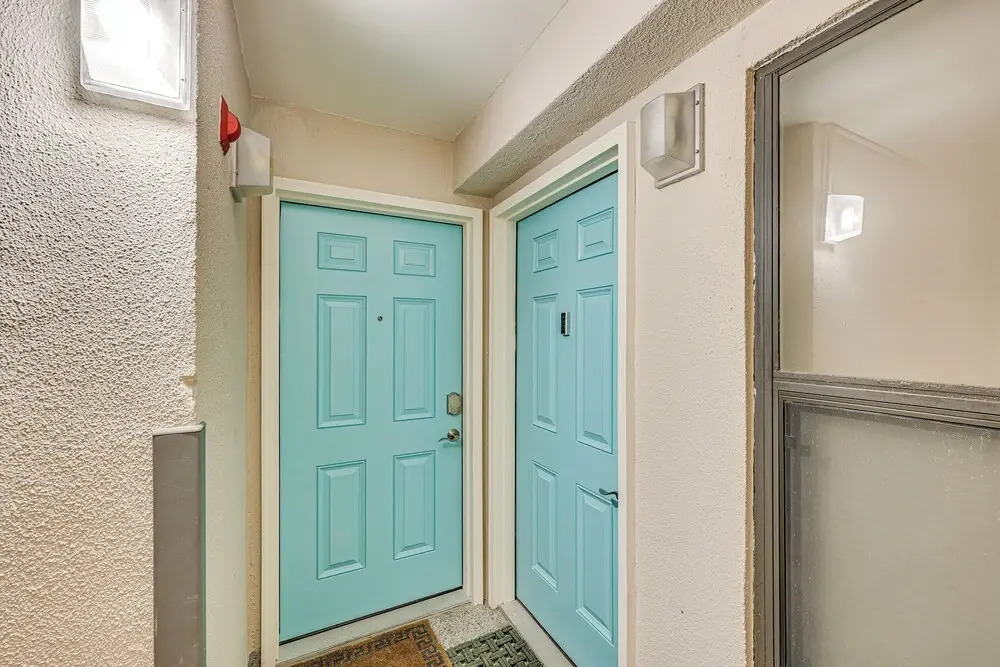 Dogs Welcome: Beachfront South Padre Island Condo