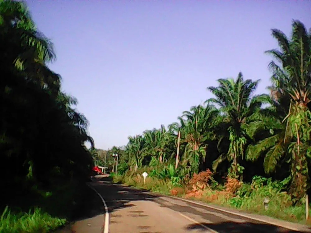Pordee Shop