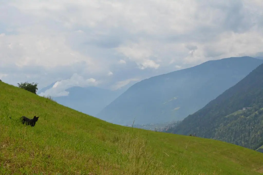 Ursulas Idyll
