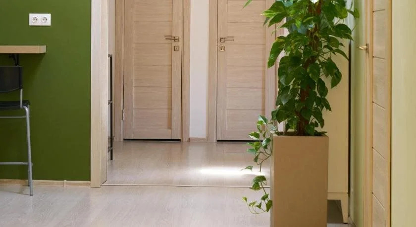 ECO Hostel