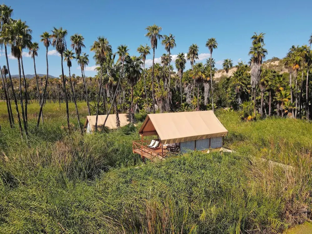 Amet Nature Retreat