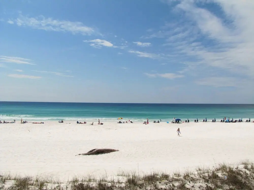Majestic Sun Condos by Crystal Waters