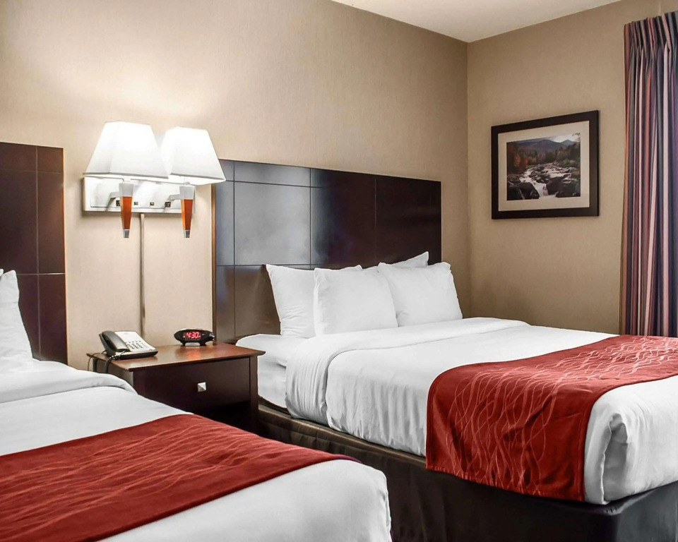 Comfort Inn & Suites Watertown - 1000 Islands