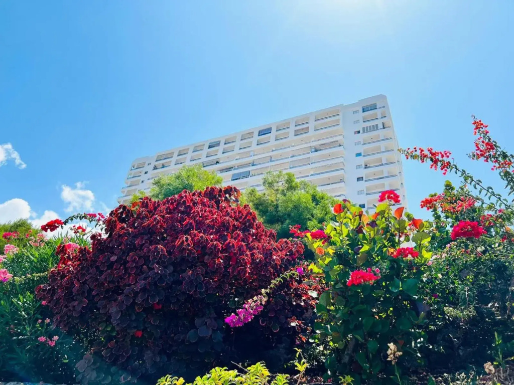 Luxury Kim Apartment, Ocean View & Wifi Free