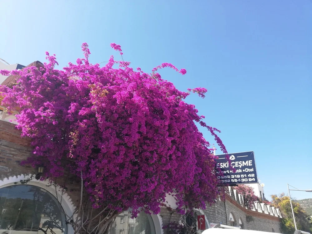 Eski Cesme Apart Butik Otel