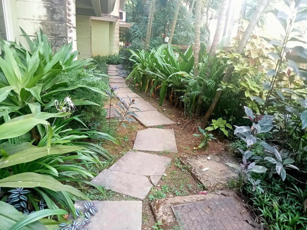 sunset view apartment