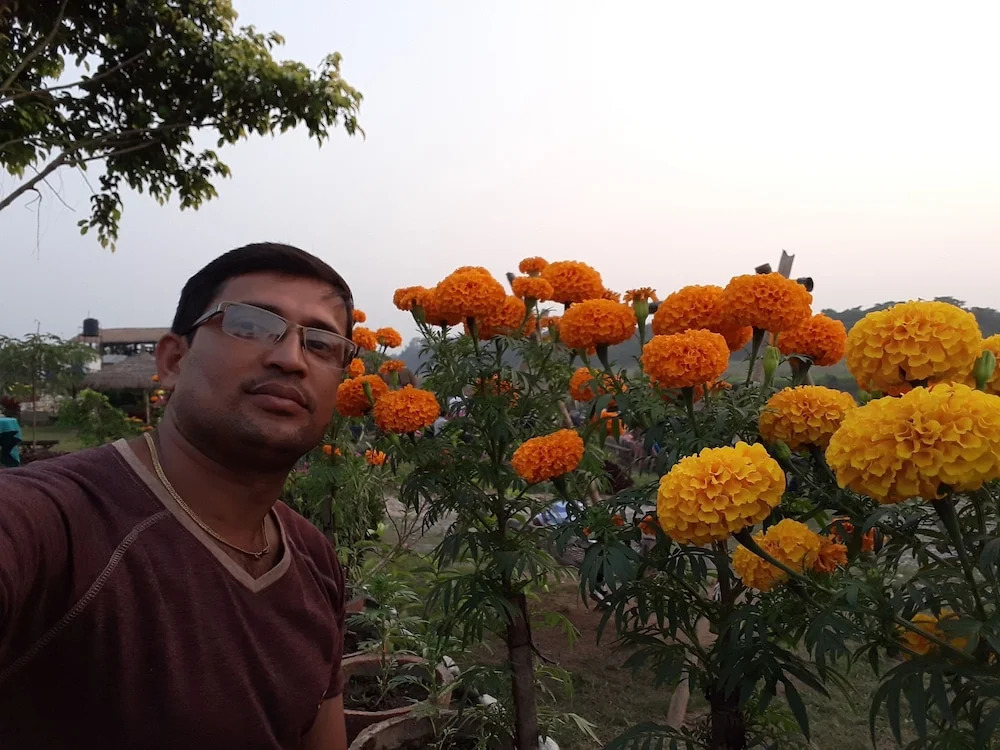 The 90's Sauraha