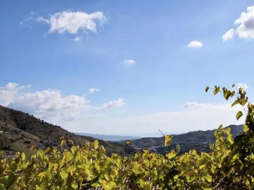 Mirador Del Puerto