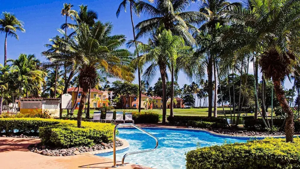 La Palmita