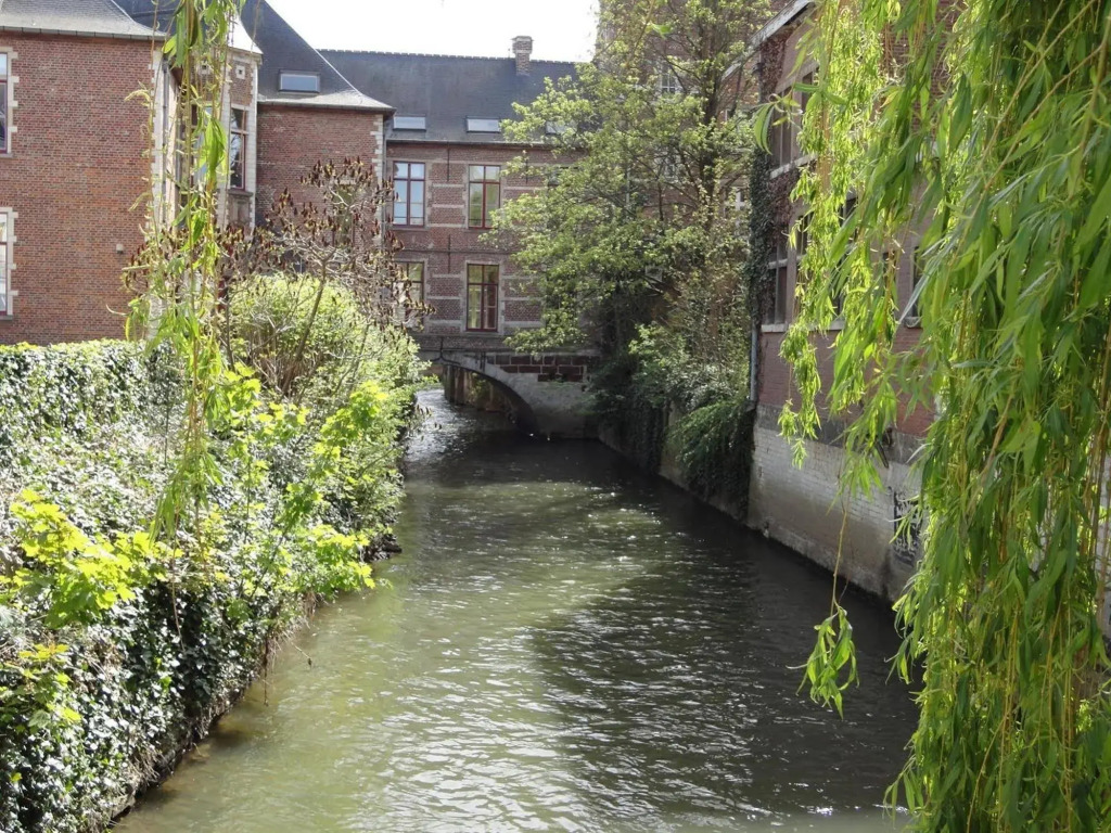 Hotel Malon