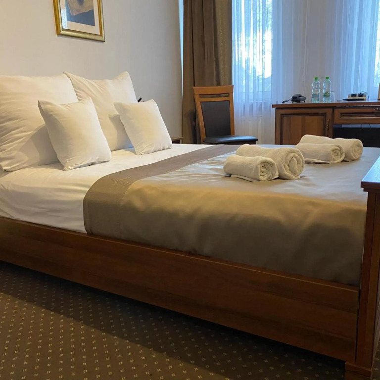 Hotel Constancja