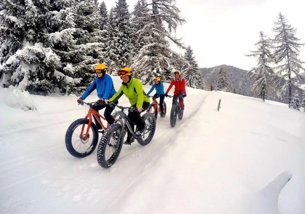 HOFERHOF Schladming -Dachstein