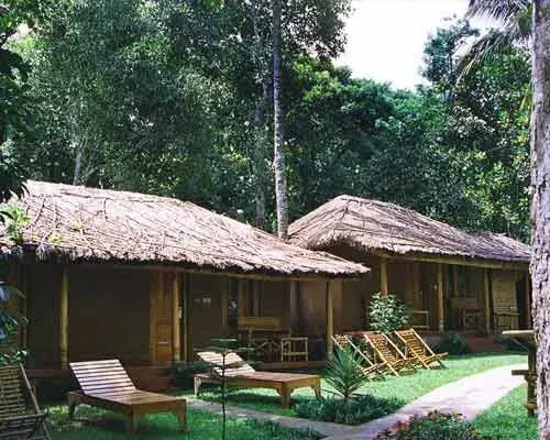 SAJ Jungle Village Thekkady