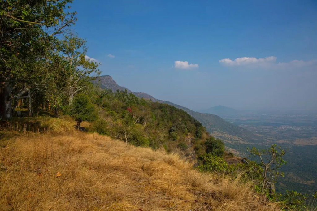 Islas Ridge - A CGH Earth SAHA Experience