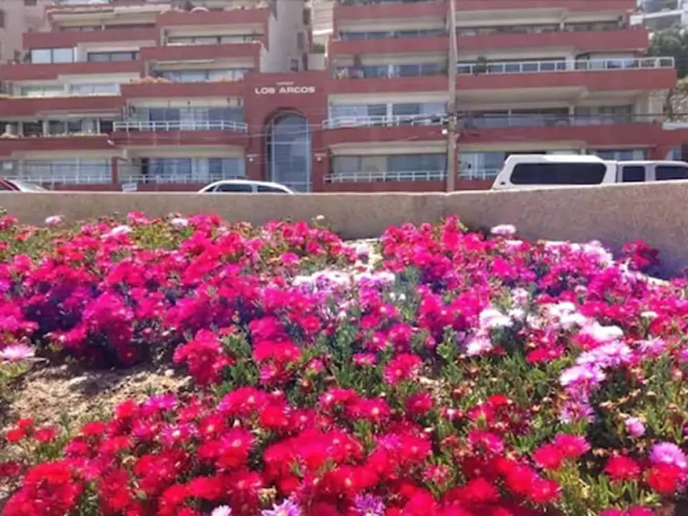 Reñaca Frente al Mar