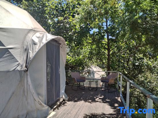 Song Wild Luxury Tent Homestay