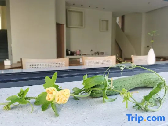 Tidal House B&B（Yuliao Scenic Area Store）