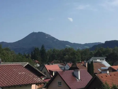 Salzburg City Appartement Messe