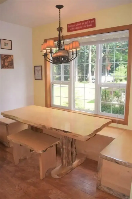 Cougar Cabin