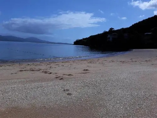 Magic Island Casas