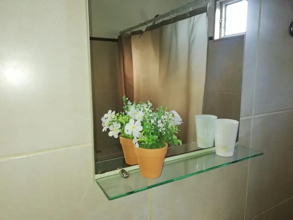 la casita de colonia 2
