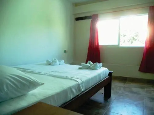The Culture Hostel