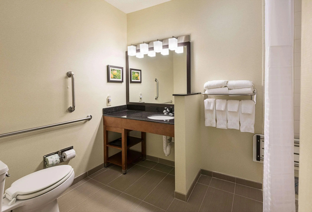 Comfort Suites Saginaw North