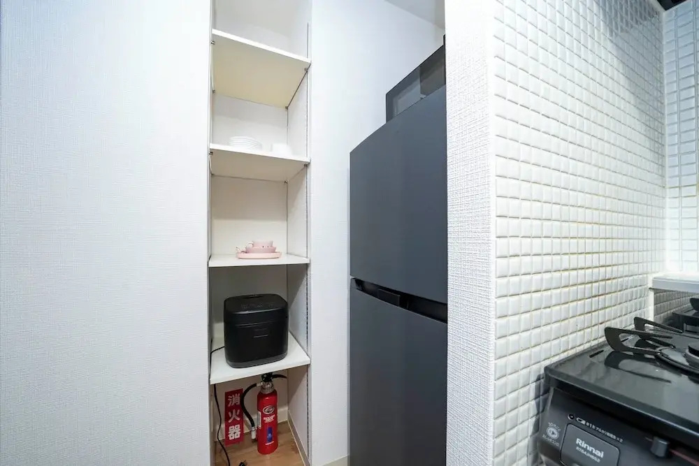 Anax Nord 203