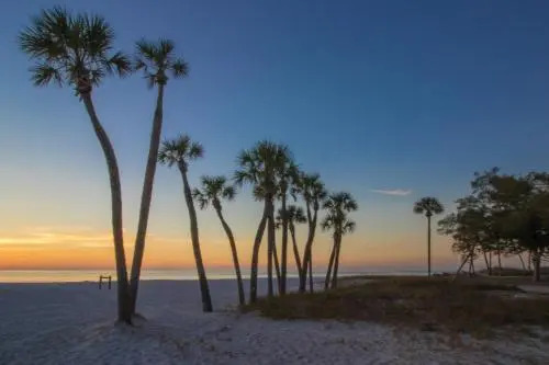 Palm Isle 3210 by RedAwning