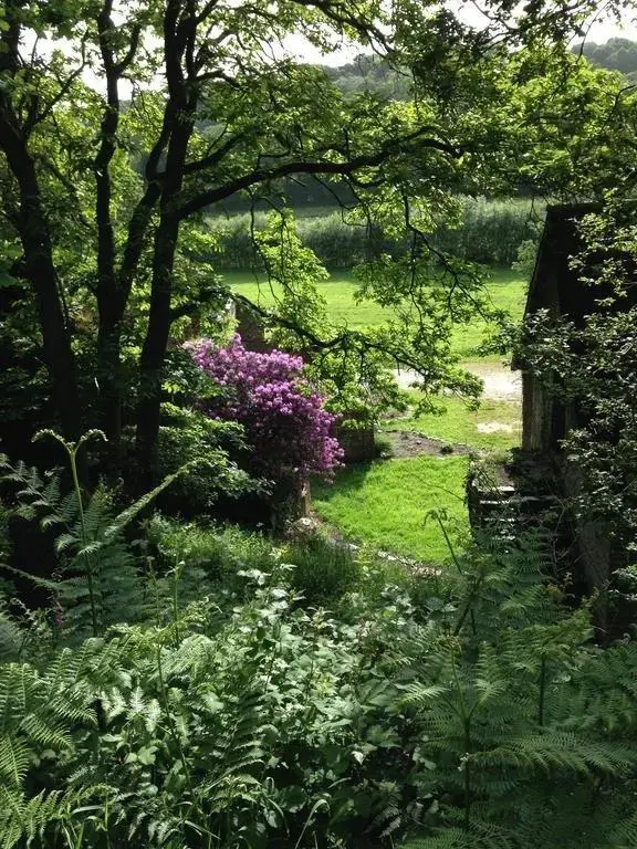 The Old Farmhouse