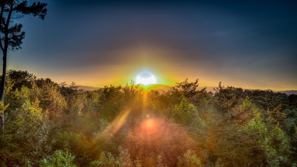 Carpe Diem by Escape to Blue Ridge