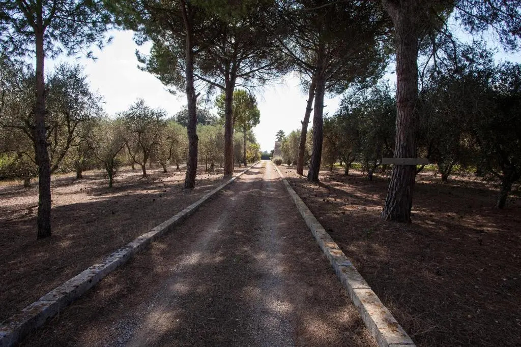 Bilocale Nelle Campagne Pugliesi Con Piscina M542